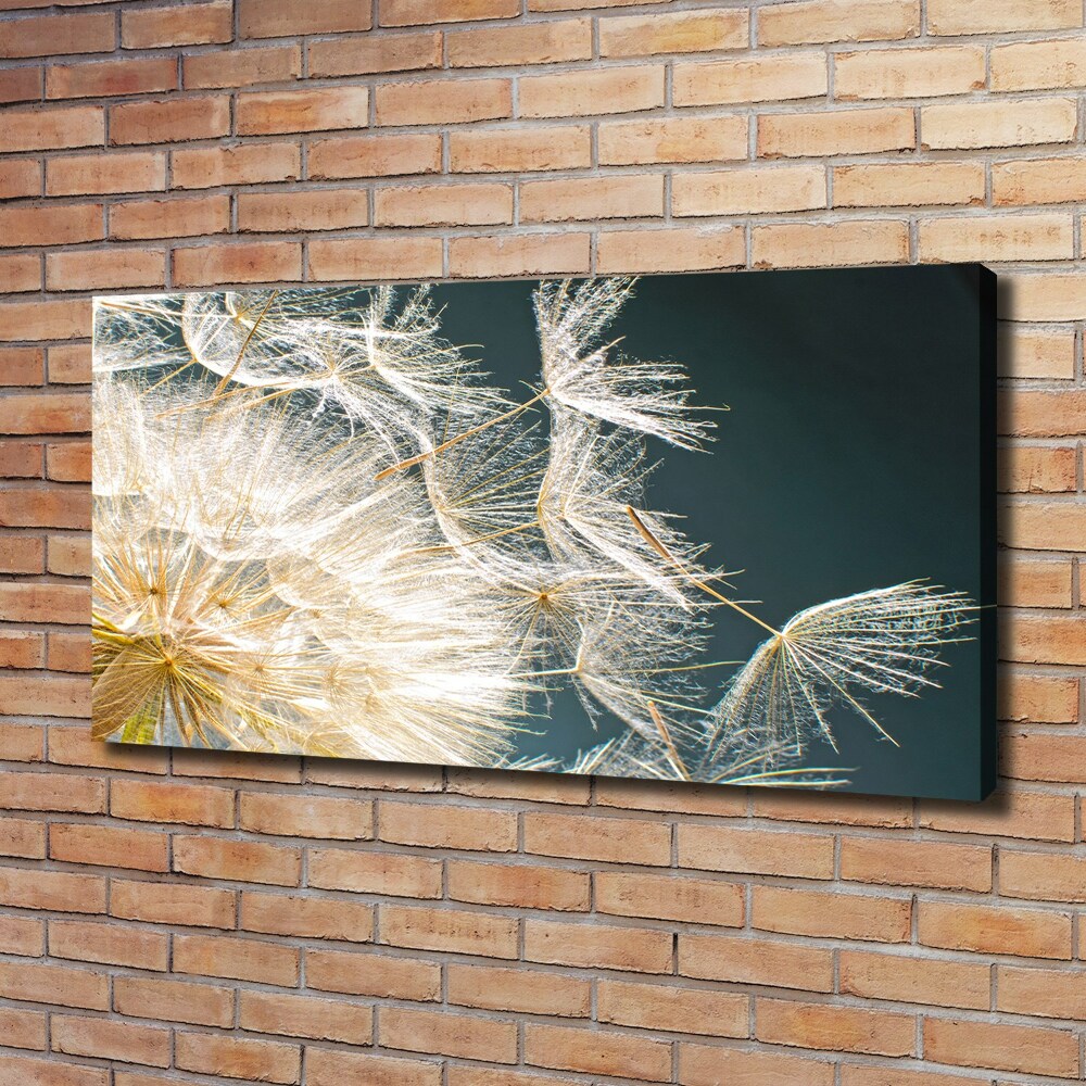 Canvas wall art Dandelion seeds