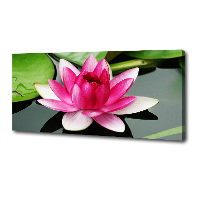 Canvas wall art water lily