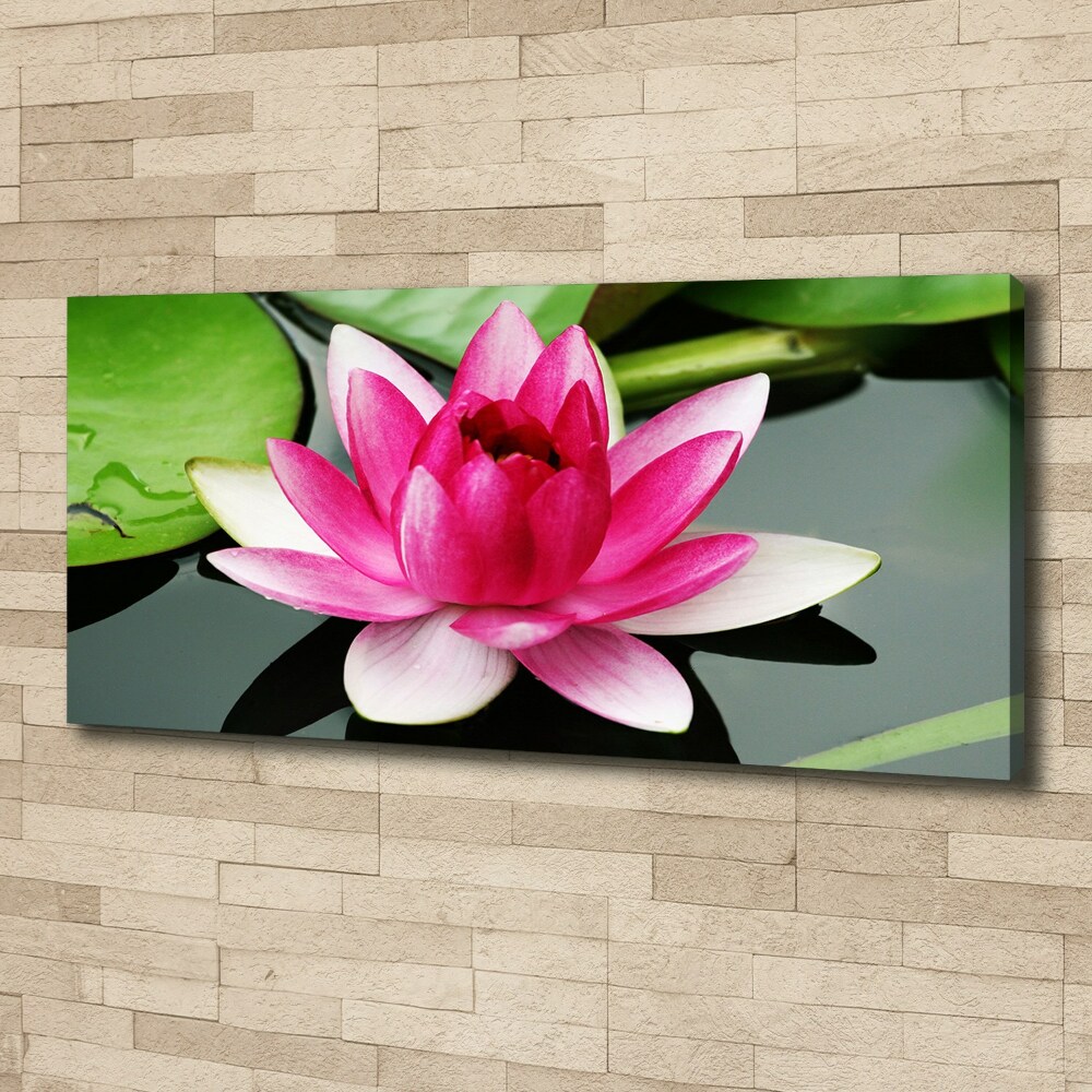 Canvas wall art water lily