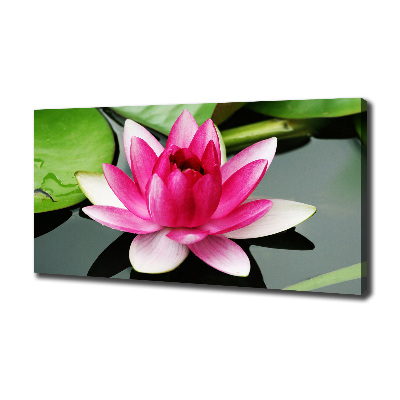 Canvas wall art water lily