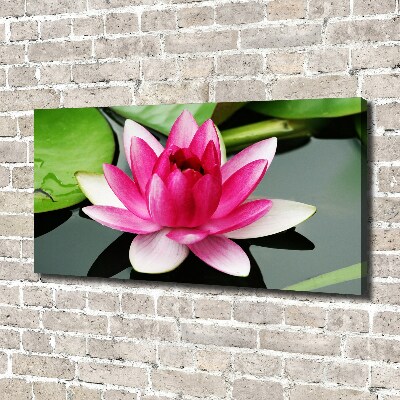 Canvas wall art water lily