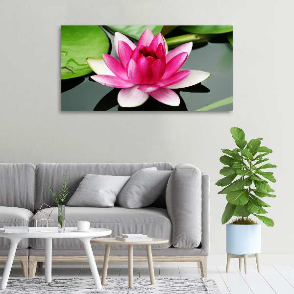 Canvas wall art water lily