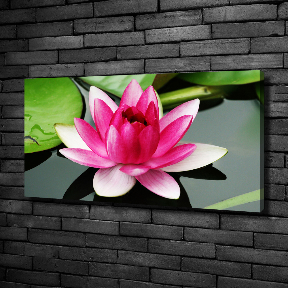 Canvas wall art water lily