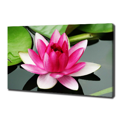 Canvas wall art water lily