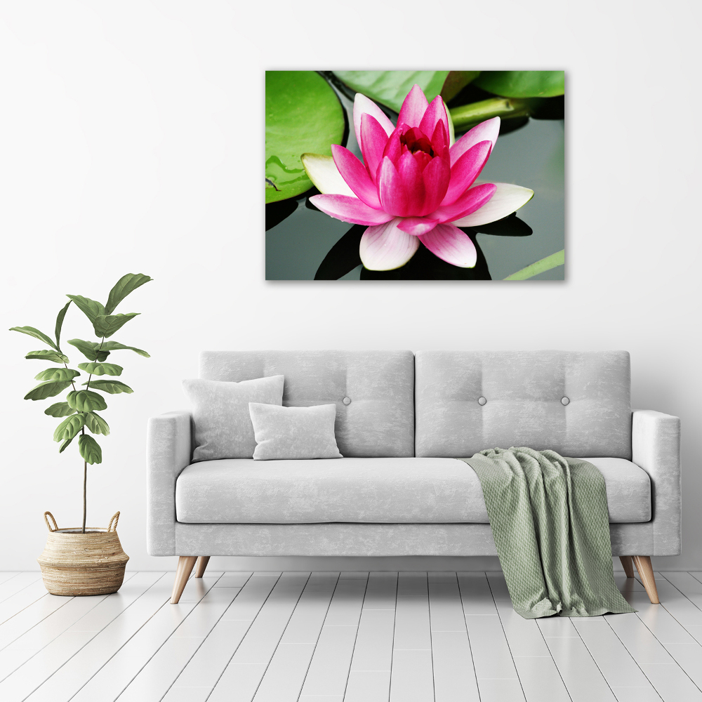 Canvas wall art water lily