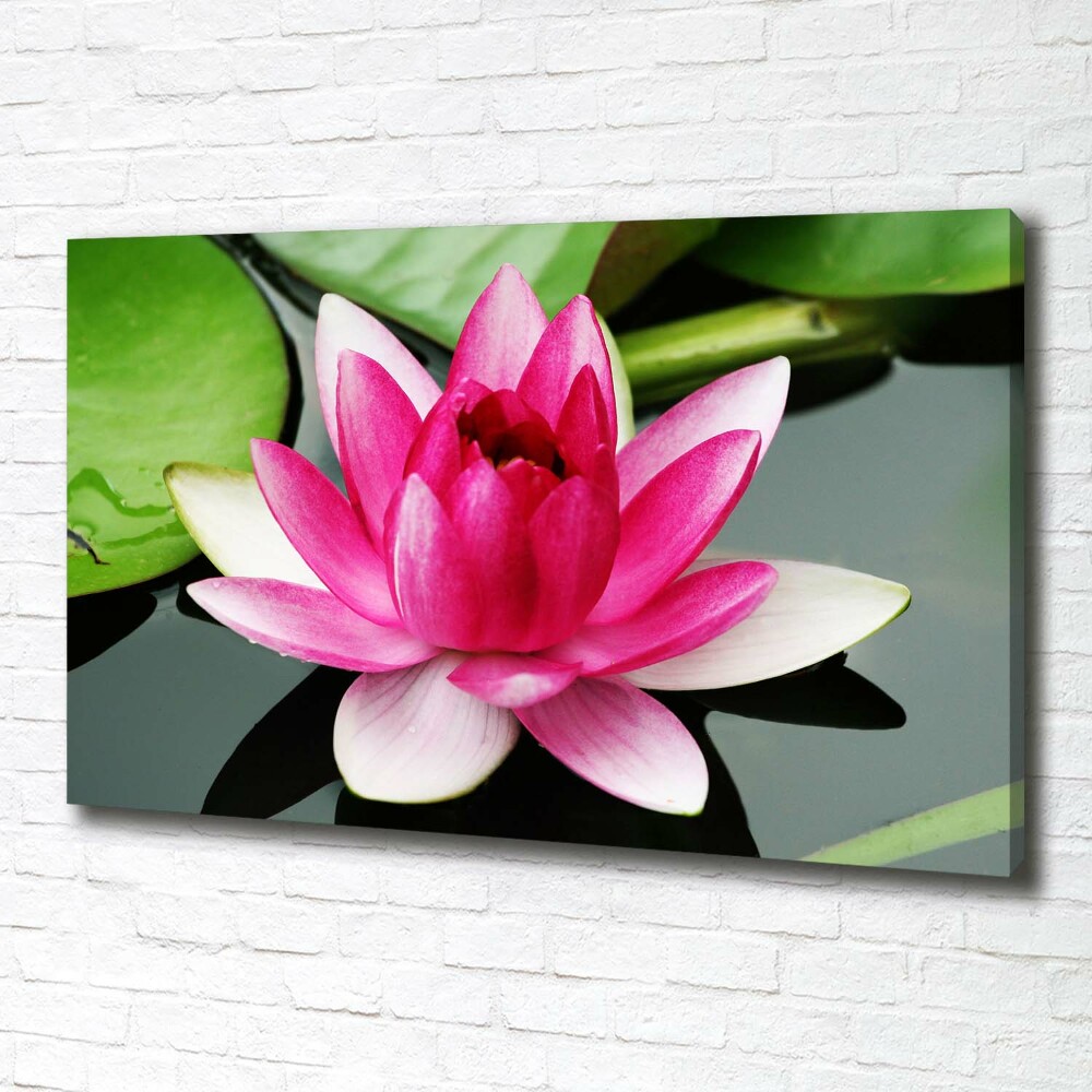 Canvas wall art water lily