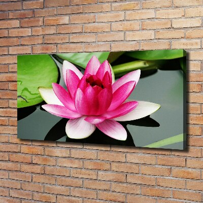 Canvas wall art water lily