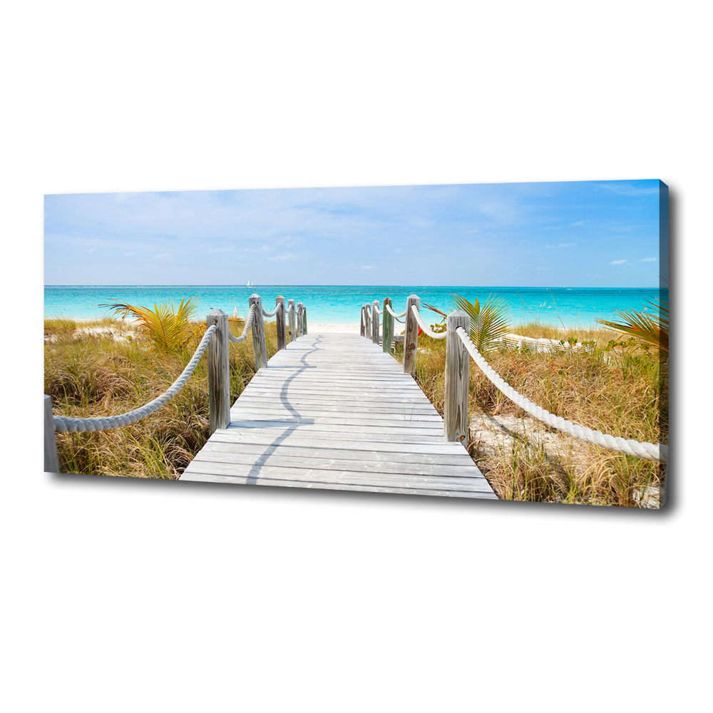 Canvas wall art Path at the sea