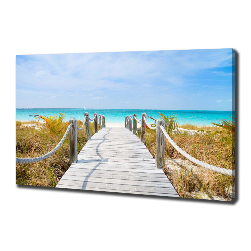 Canvas wall art Path at the sea