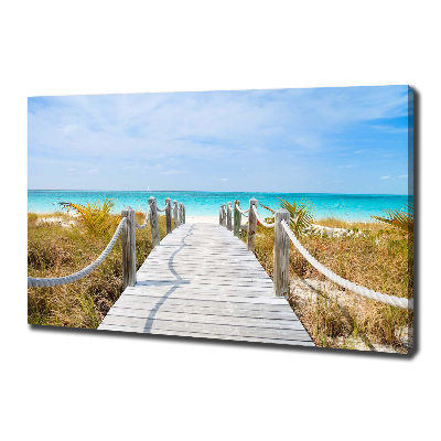 Canvas wall art Path at the sea