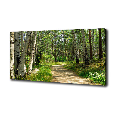 Canvas wall art Path in the forest