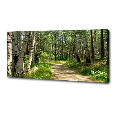 Canvas wall art Path in the forest