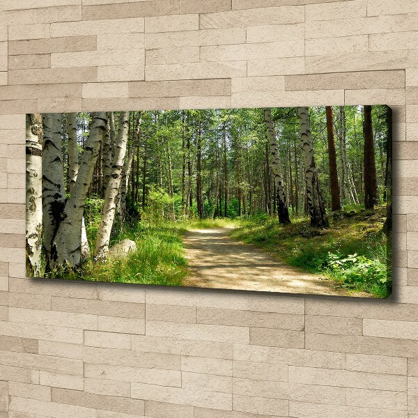 Canvas wall art Path in the forest