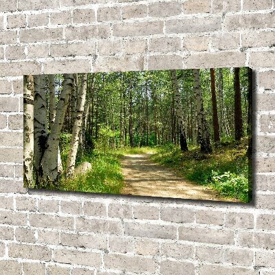 Canvas wall art Path in the forest