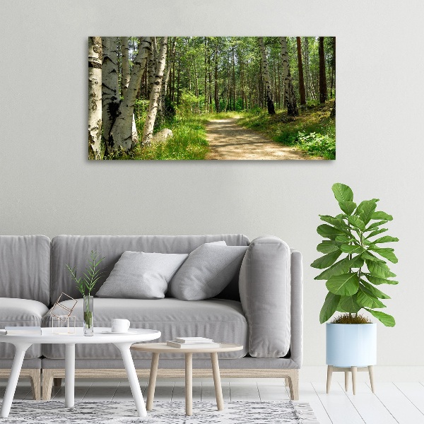 Canvas wall art Path in the forest