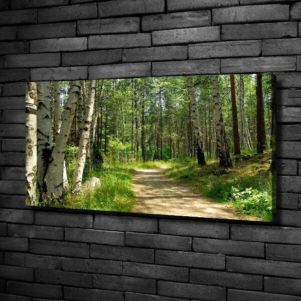 Canvas wall art Path in the forest