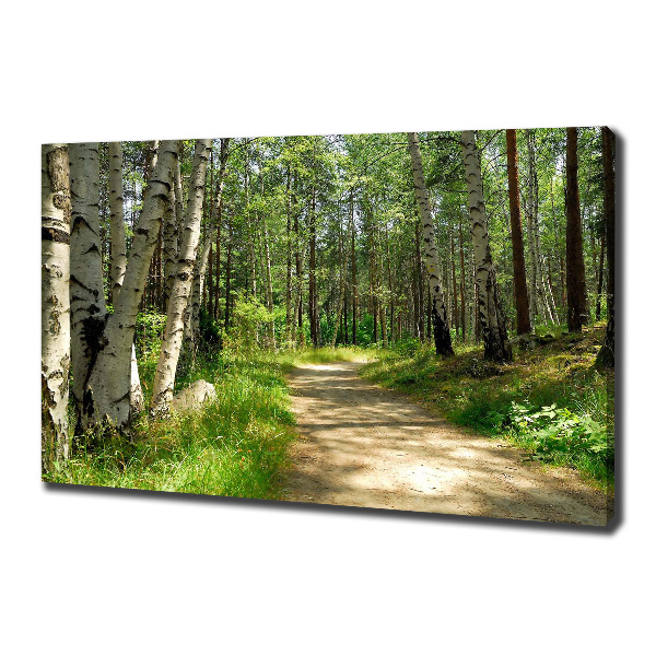 Canvas wall art Path in the forest