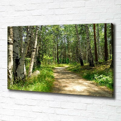 Canvas wall art Path in the forest