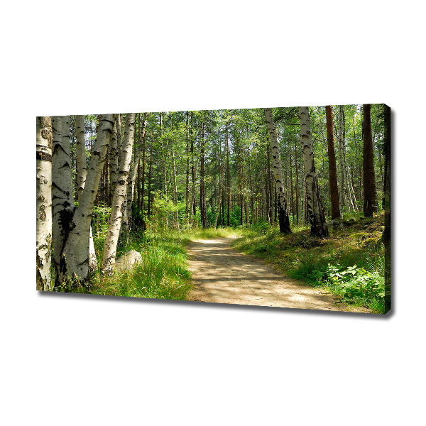 Canvas wall art Path in the forest