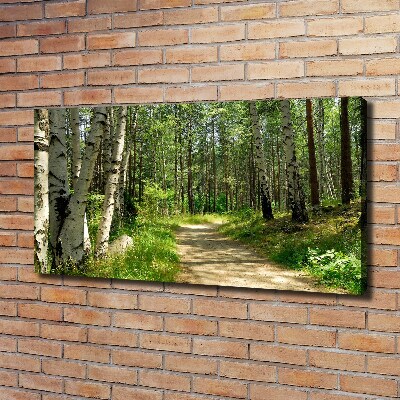 Canvas wall art Path in the forest