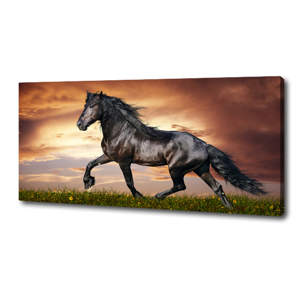 Wall art canvas large Trotting horse