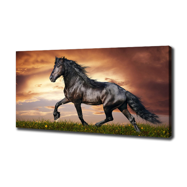 Wall art canvas large Trotting horse