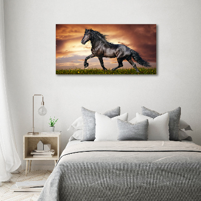 Wall art canvas large Trotting horse