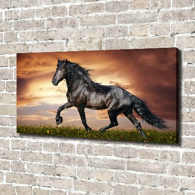 Wall art canvas large Trotting horse