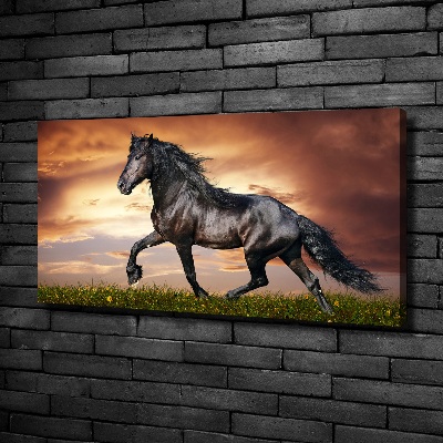 Wall art canvas large Trotting horse