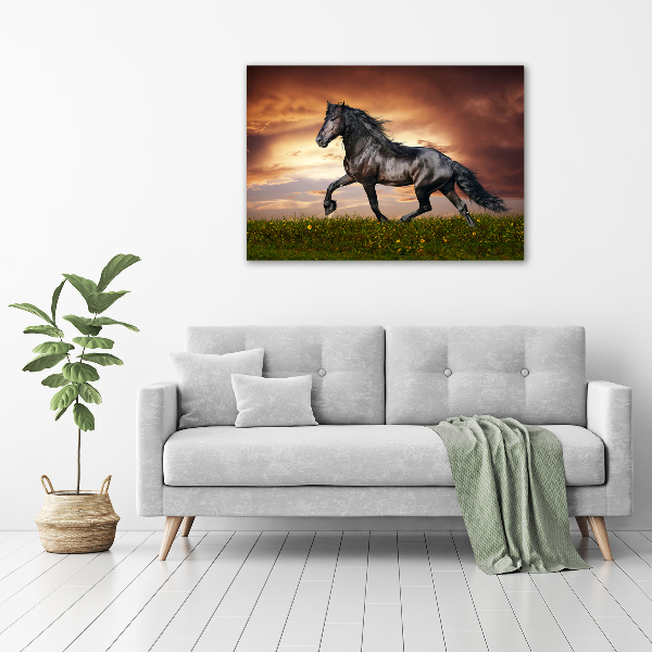 Wall art canvas large Trotting horse