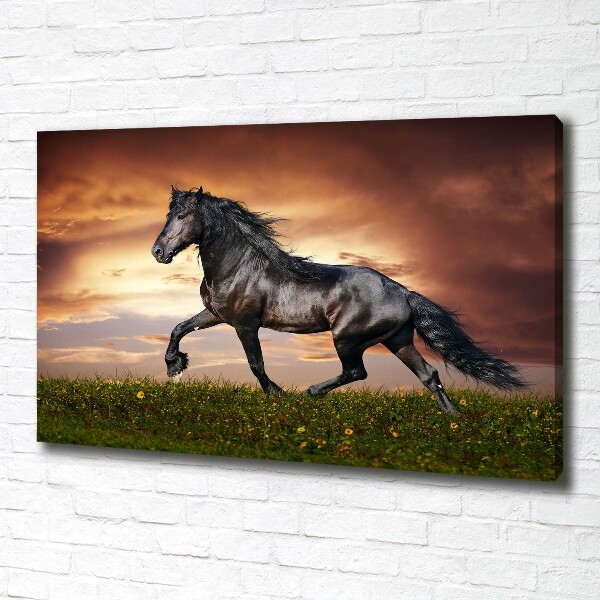 Wall art canvas large Trotting horse