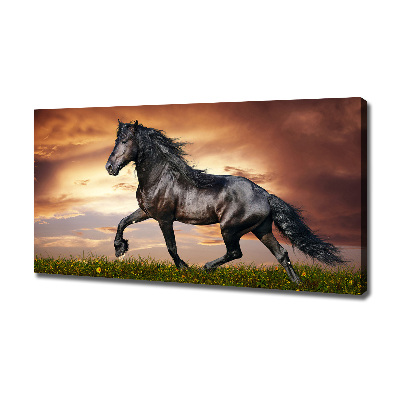 Wall art canvas large Trotting horse