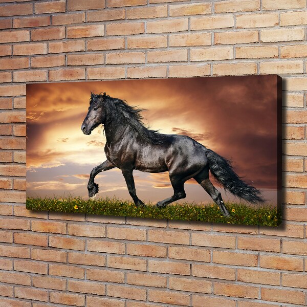 Wall art canvas large Trotting horse