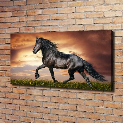 Wall art canvas large Trotting horse