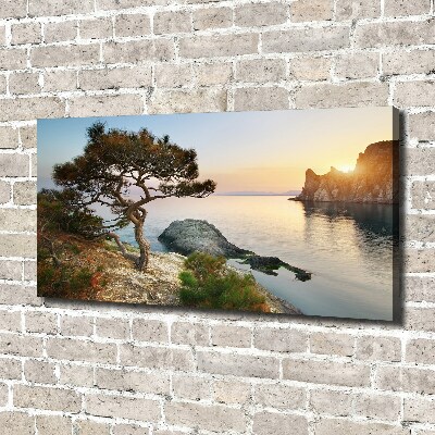 Canvas wall art Tree by the sea