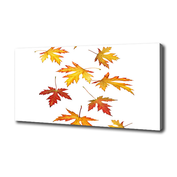 Autumn leaves