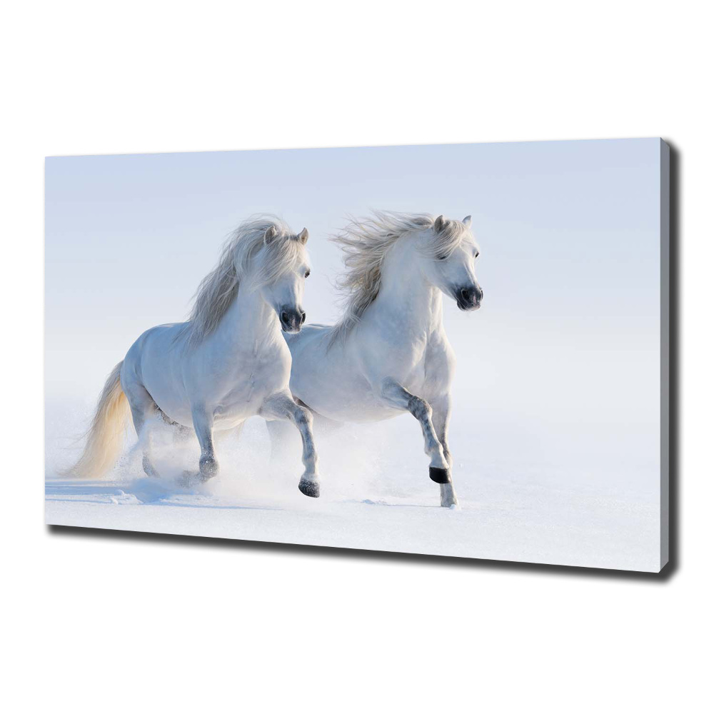 Wall art canvas large Two horses in the snow