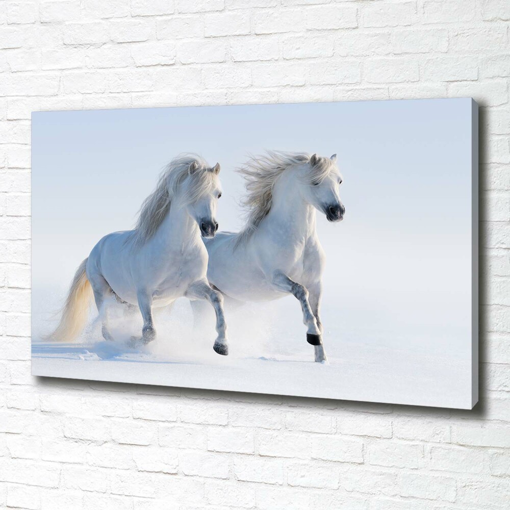 Wall art canvas large Two horses in the snow