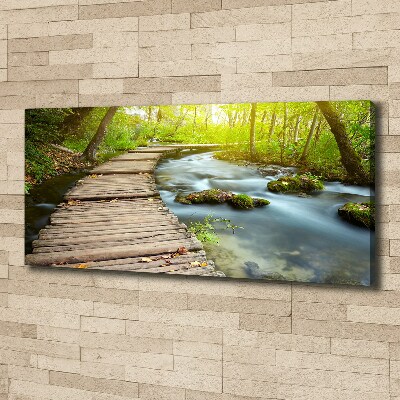 Canvas wall art Path over the river