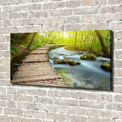 Canvas wall art Path over the river