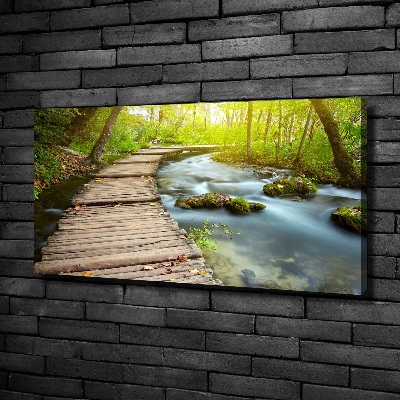 Canvas wall art Path over the river