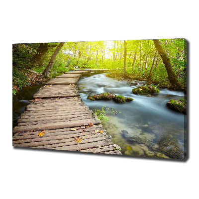 Canvas wall art Path over the river