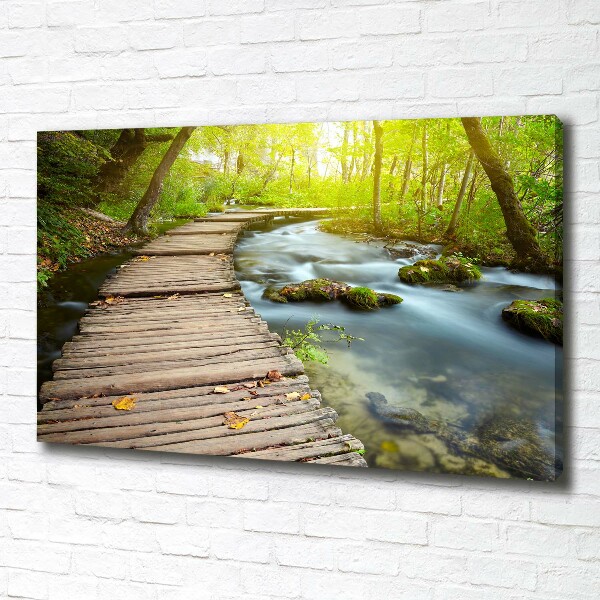 Canvas wall art Path over the river