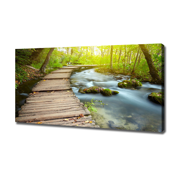 Canvas wall art Path over the river