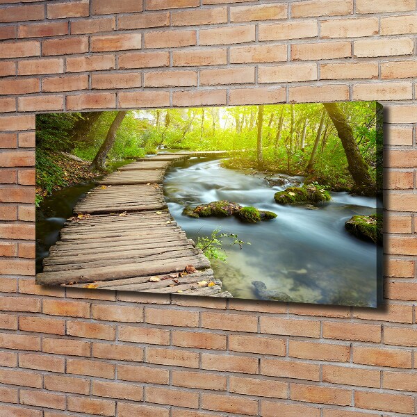 Canvas wall art Path over the river