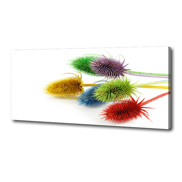 Canvas wall art Thistle