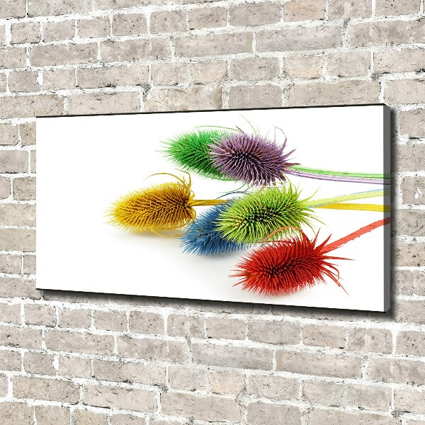 Canvas wall art Thistle