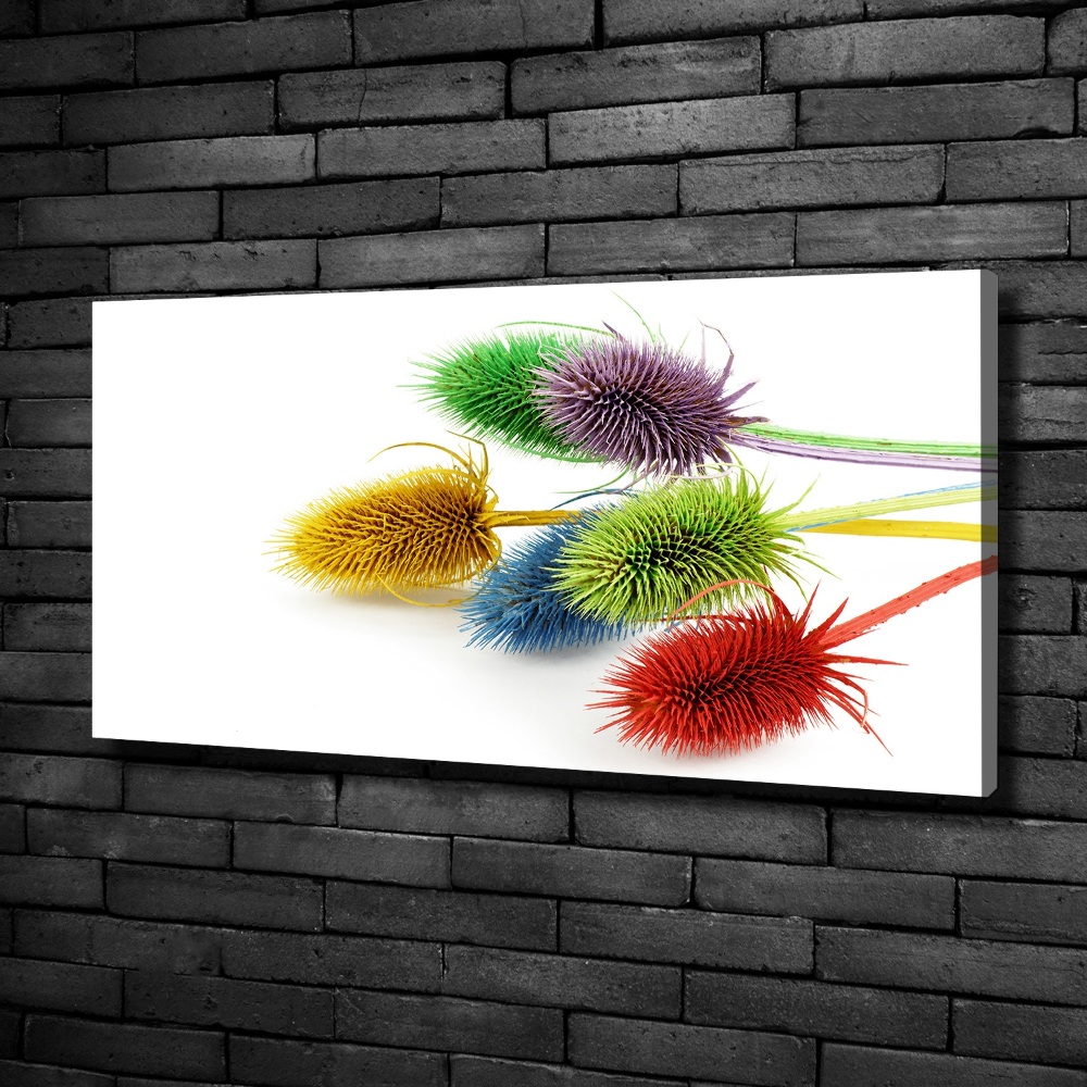 Canvas wall art Thistle