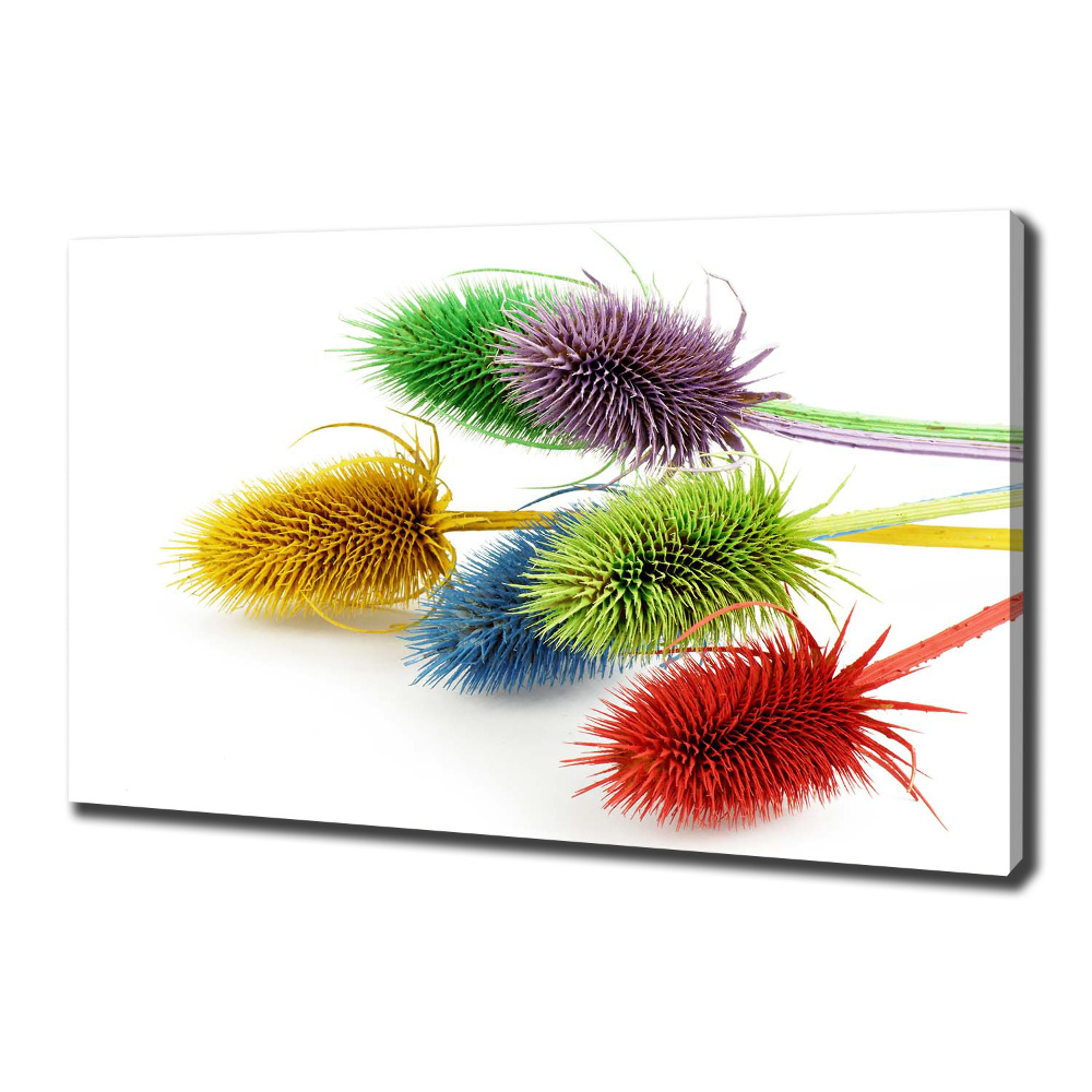 Canvas wall art Thistle