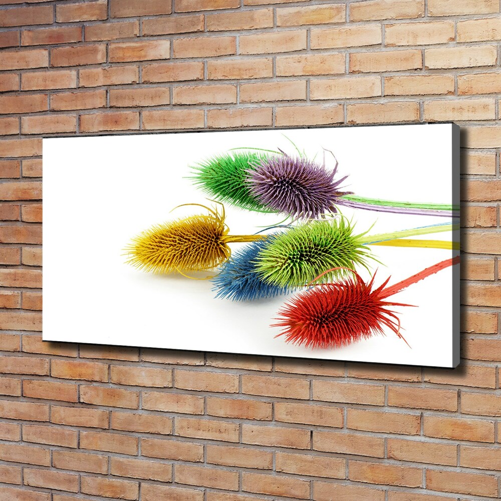 Canvas wall art Thistle